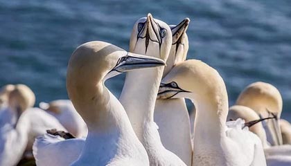 yl23455永利平台-对话任子威:从“冰雪速度”到“民生温度”|两会零时差